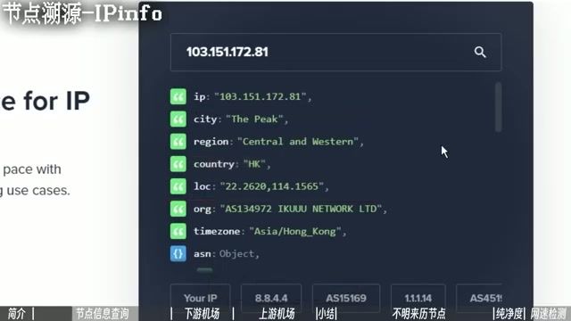 IP Info 界面展示 ASN 编号和注册公司
